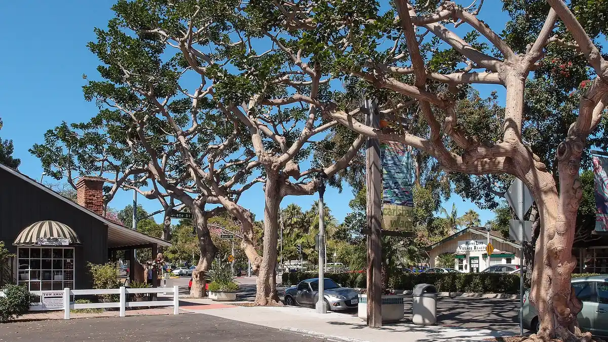Electrical services in Carlsbad, California